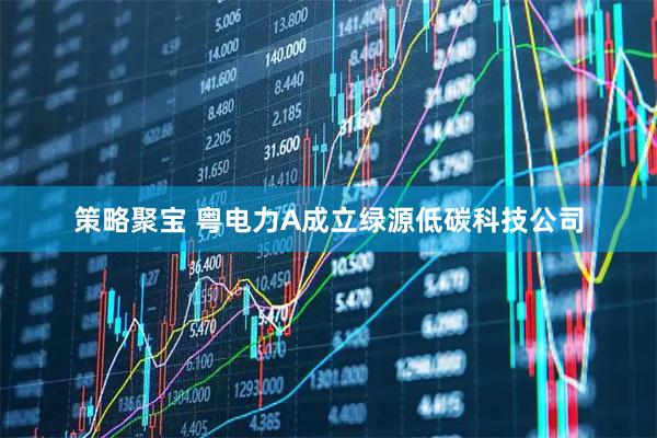 策略聚宝 粤电力A成立绿源低碳科技公司