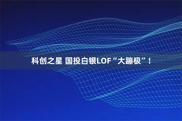 科创之星 国投白银LOF“大蹦极”！