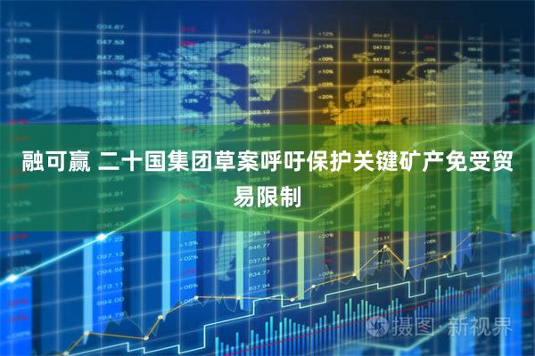 融可赢 二十国集团草案呼吁保护关键矿产免受贸易限制