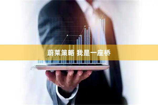 蔚莱策略 我是一座桥