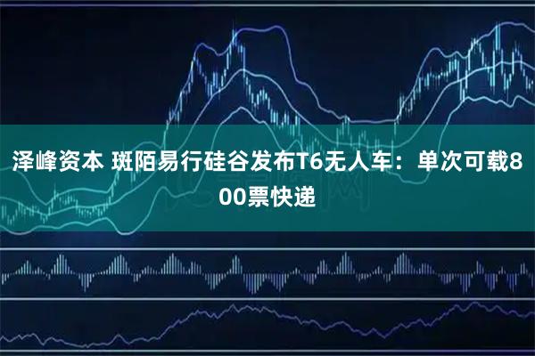 泽峰资本 斑陌易行硅谷发布T6无人车：单次可载800票快递